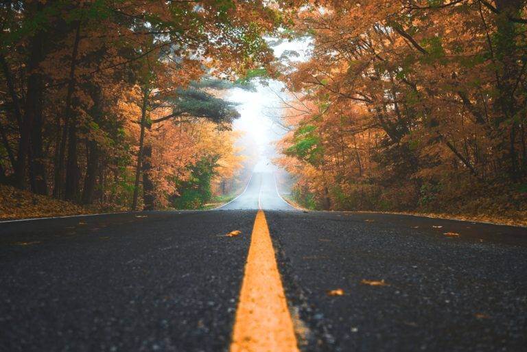 Wide open country road with autumn trees aligning the road. FREE CAR SHIPPING QUOTE